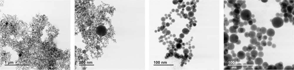 STEM images of EVQ-218 after exposure to moderately hard water