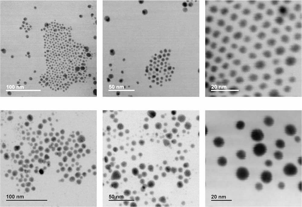STEM images showing EVQ-218 particle morphology and spacing