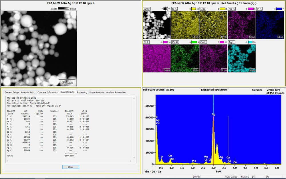 Elemental map of mineral-exposed EVQ-218